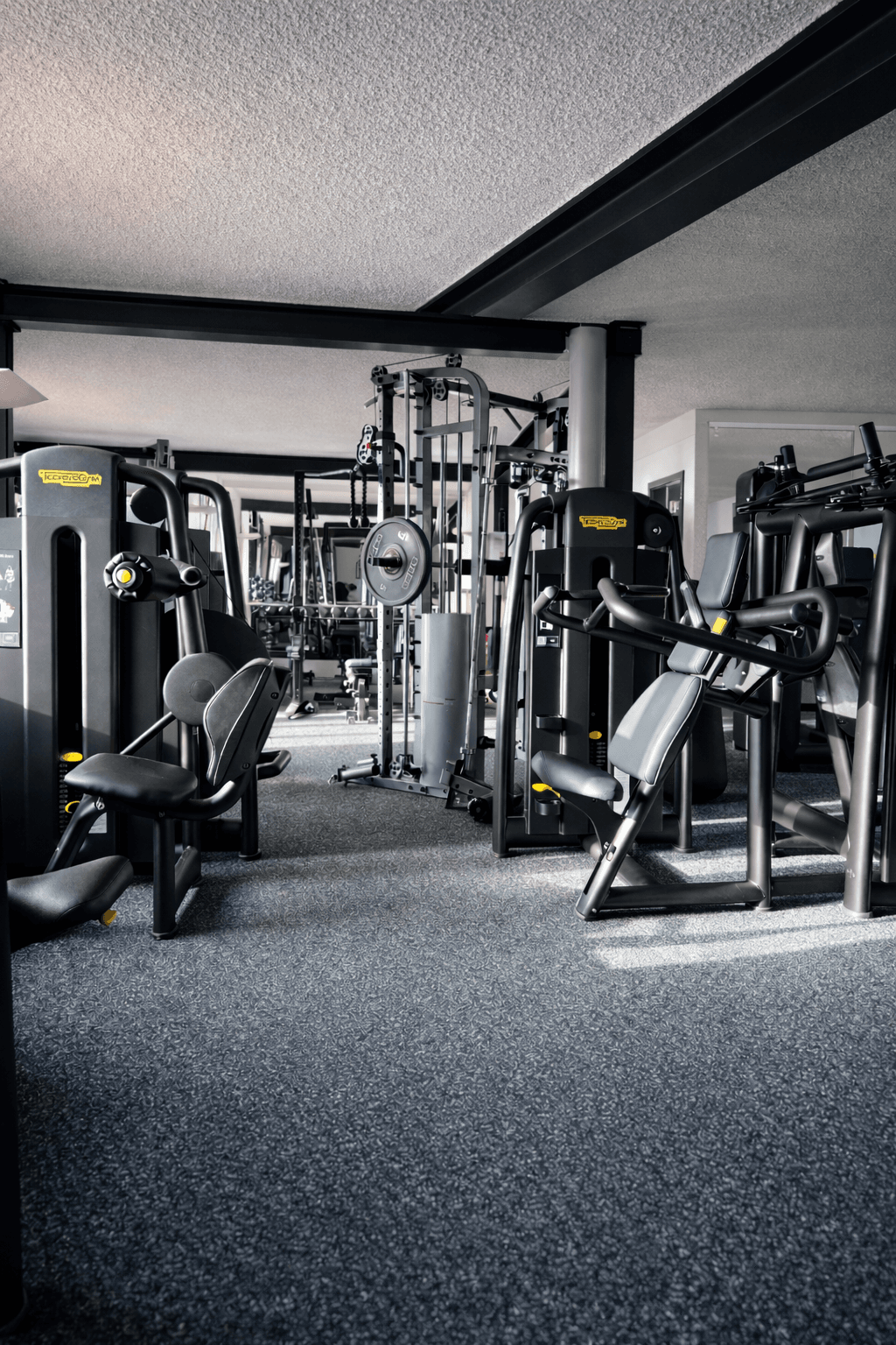 Rack und freie Gewichte im Training